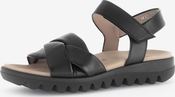 GABOR Sandaal in Zwart: voorkant