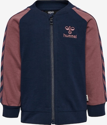 Hummel Sweatvest 'AIDAN' in Blauw: voorkant