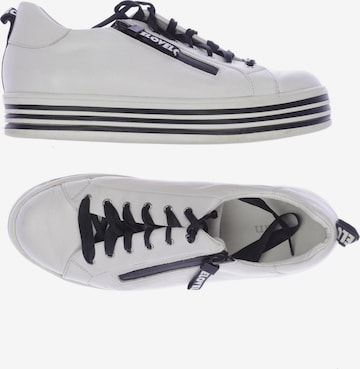 JOSEF SEIBEL Sneakers & Trainers in 41 in White: front