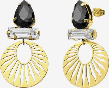 Lucardi Oorbellen in Goud: voorkant