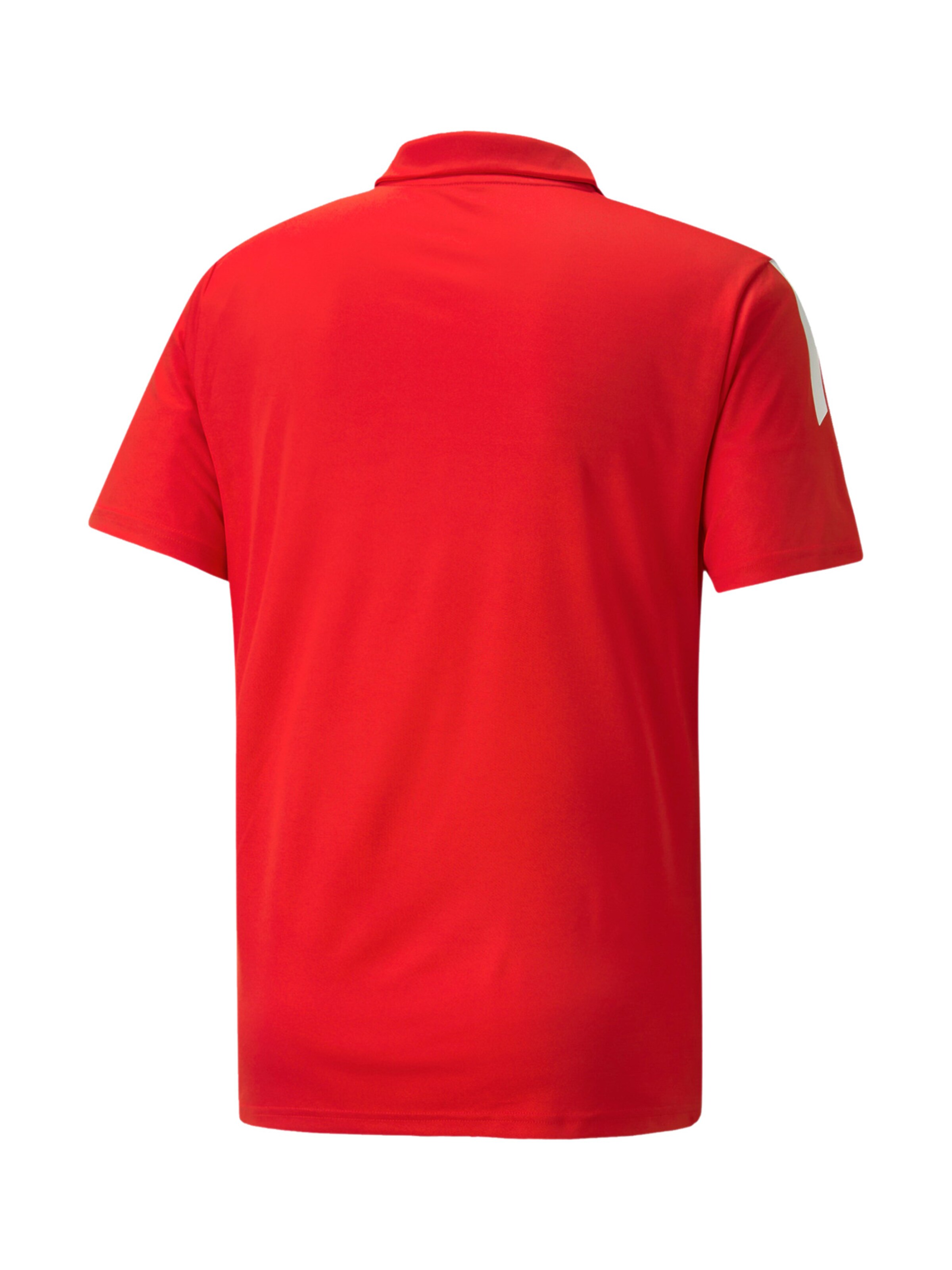 PUMA Funktionsshirt 'TeamLiga' in Rot