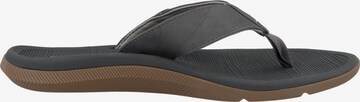 REEF T-Bar Sandals 'Santa Ana' in Grey