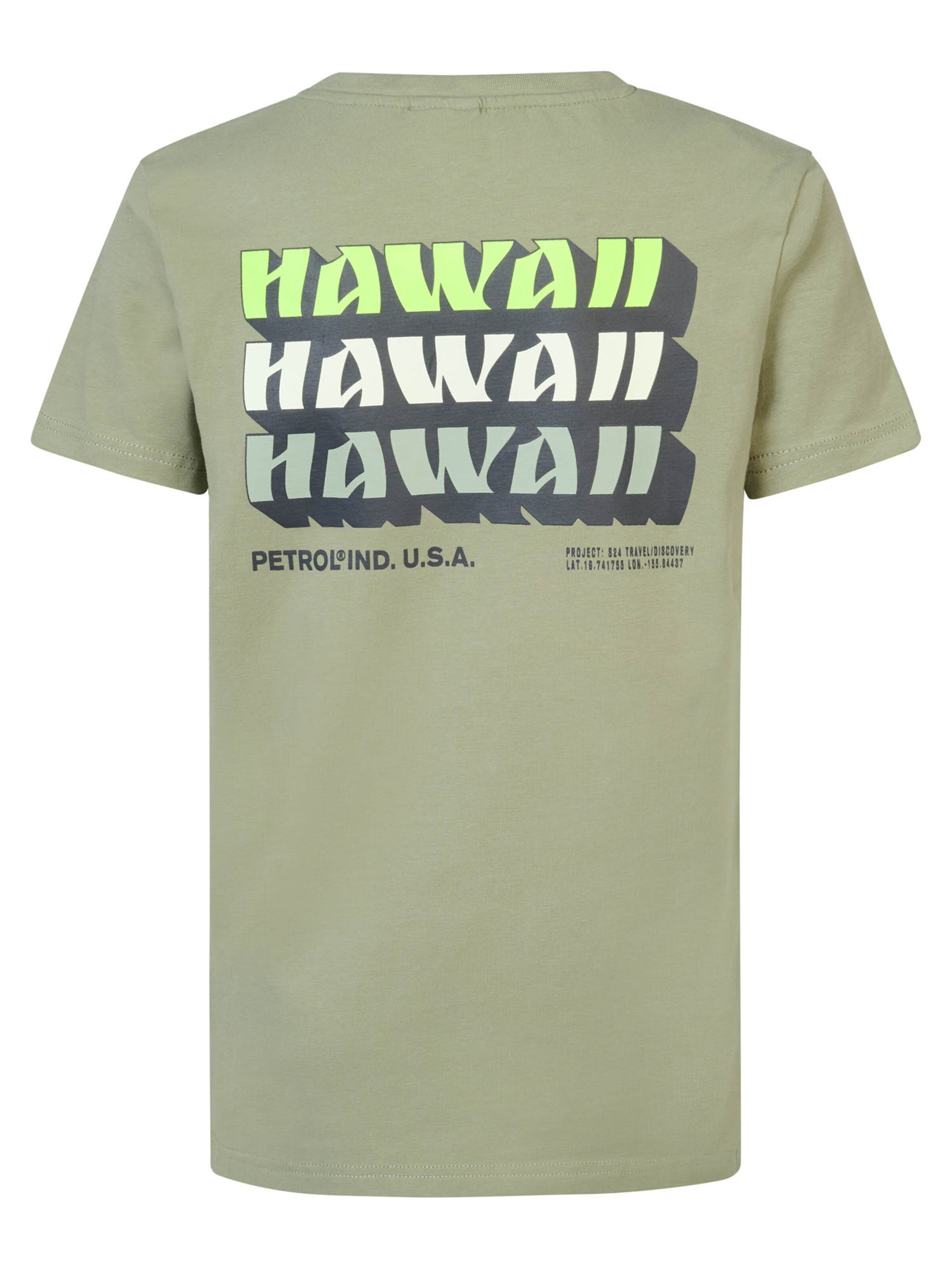 Petrol Industries Shirt 'Glassy' in Green