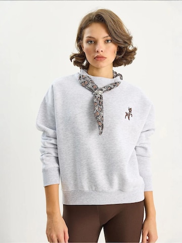 Bianco Lucci Sweatshirt in Grey: front