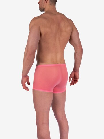 Boxers ' RED0965 Minipants ' Olaf Benz en rose