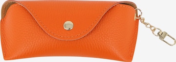 Brise Case 'Brillenetui' in Orange: front