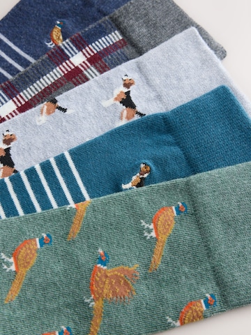 Next Socks in Mixed colours