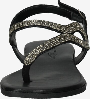 IGI&CO T-Bar Sandals in Black