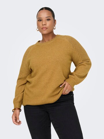 Pull-over 'CARWinsome' ONLY Carmakoma en marron : devant