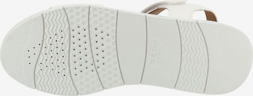 Sandales GEOX en blanc