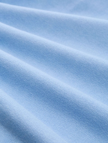 TOM TAILOR Trui in Blauw
