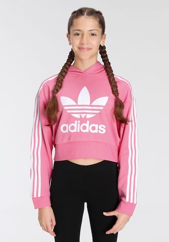 ADIDAS ORIGINALS Sweatshirt 'Adicolor ' in Pink: predná strana