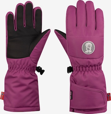 TROLLKIDS Gloves 'Narvik' in Purple: front