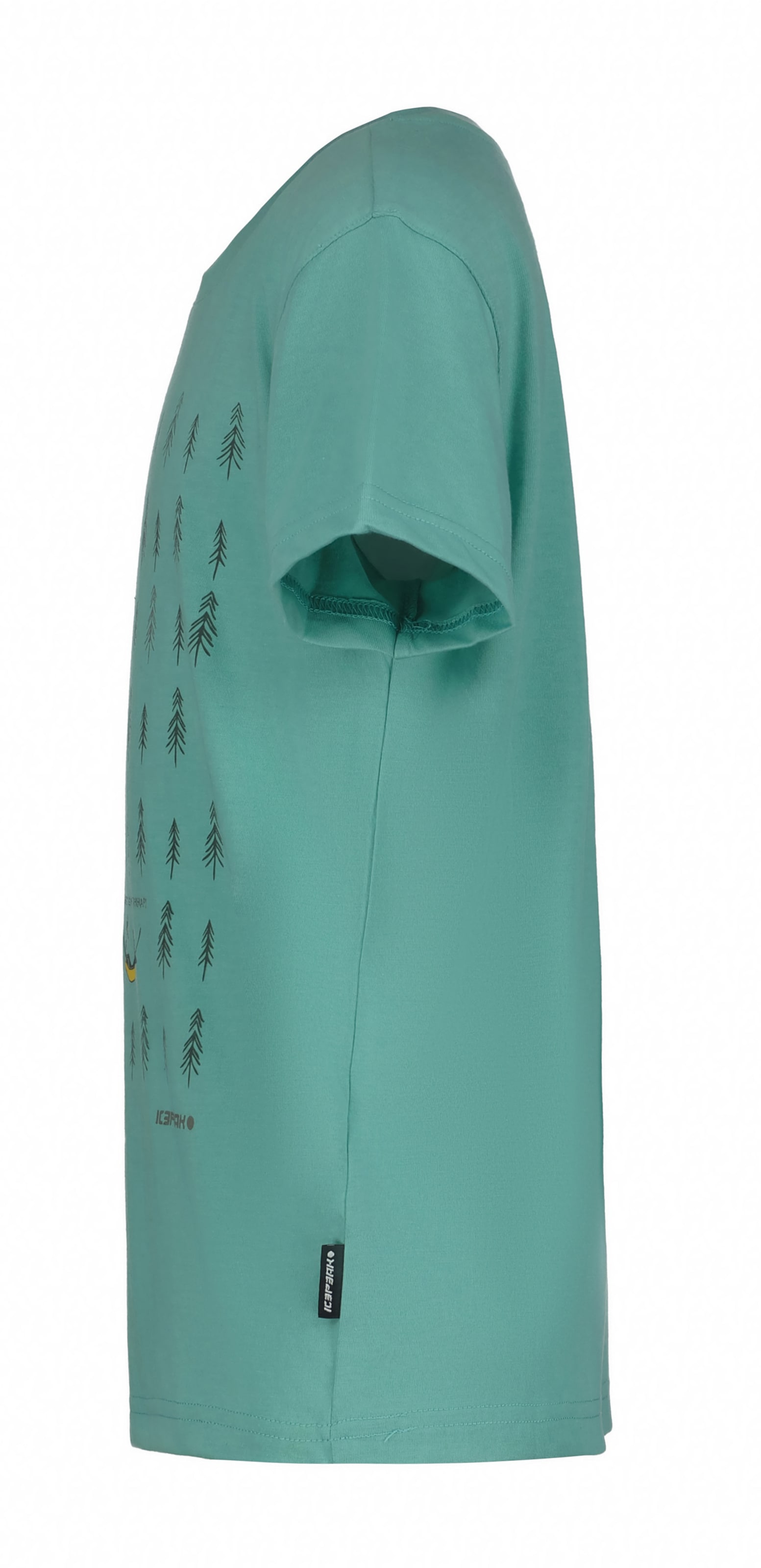 T-Shirt fonctionnel 'Kinston' ICEPEAK en vert