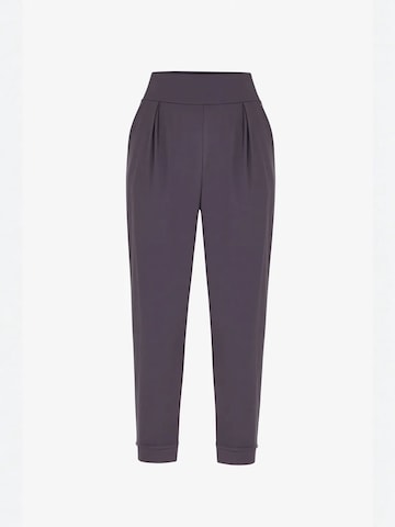 Penti Workout Pants 'Aktive Unterteile' in Grey