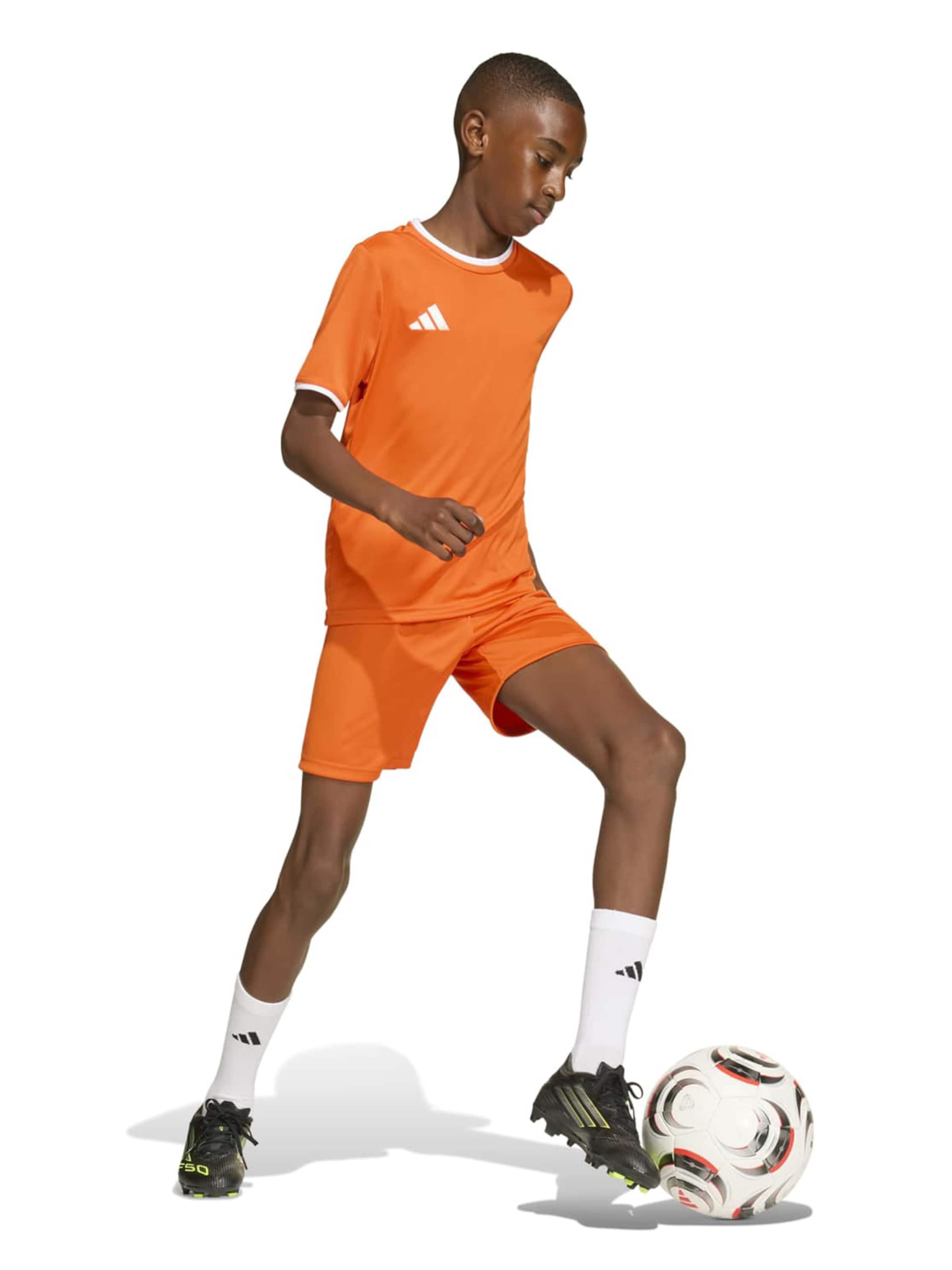 Tricou funcțional 'ENT26' de la ADIDAS PERFORMANCE pe portocaliu