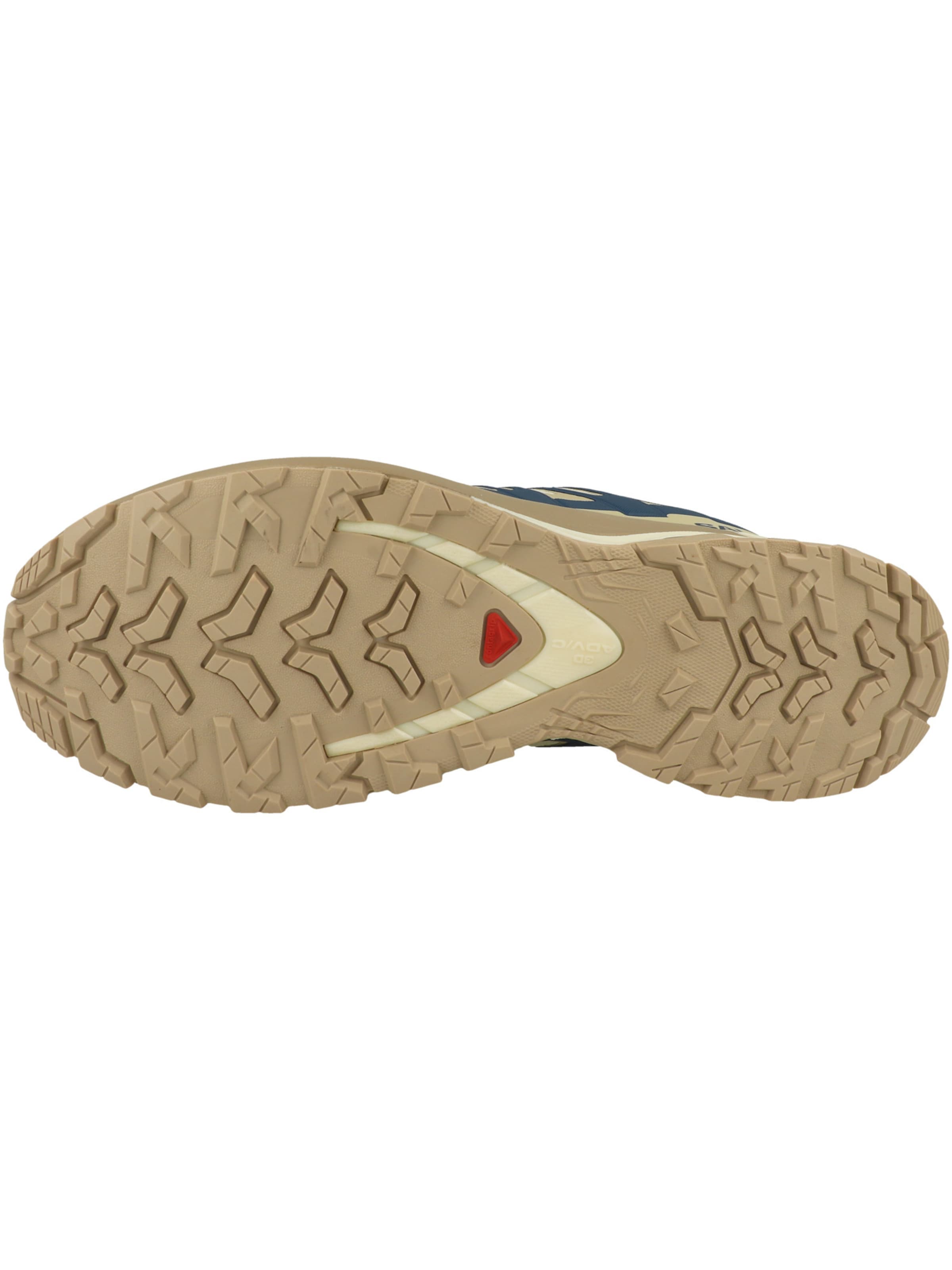 SALOMON Laufschuh 'XA Pro 3D V9' in Beige