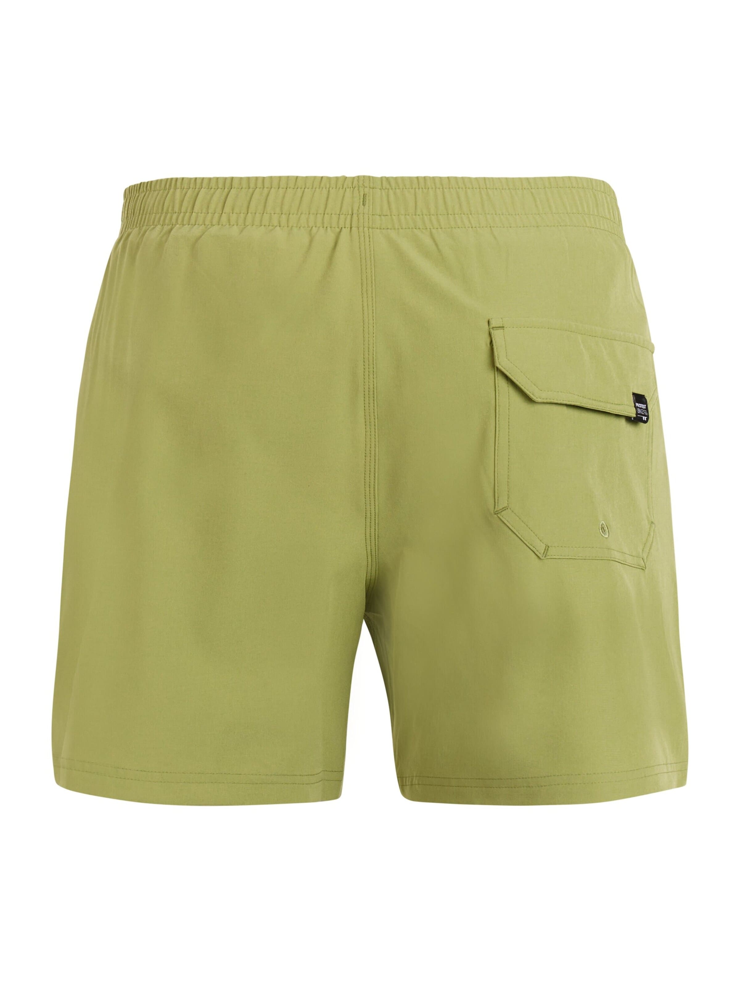 PROTEST Board Shorts 'PRTIgapo' in Green