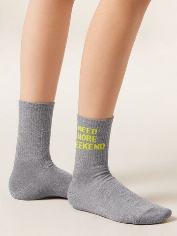 CALZEDONIA Socks in Grey
