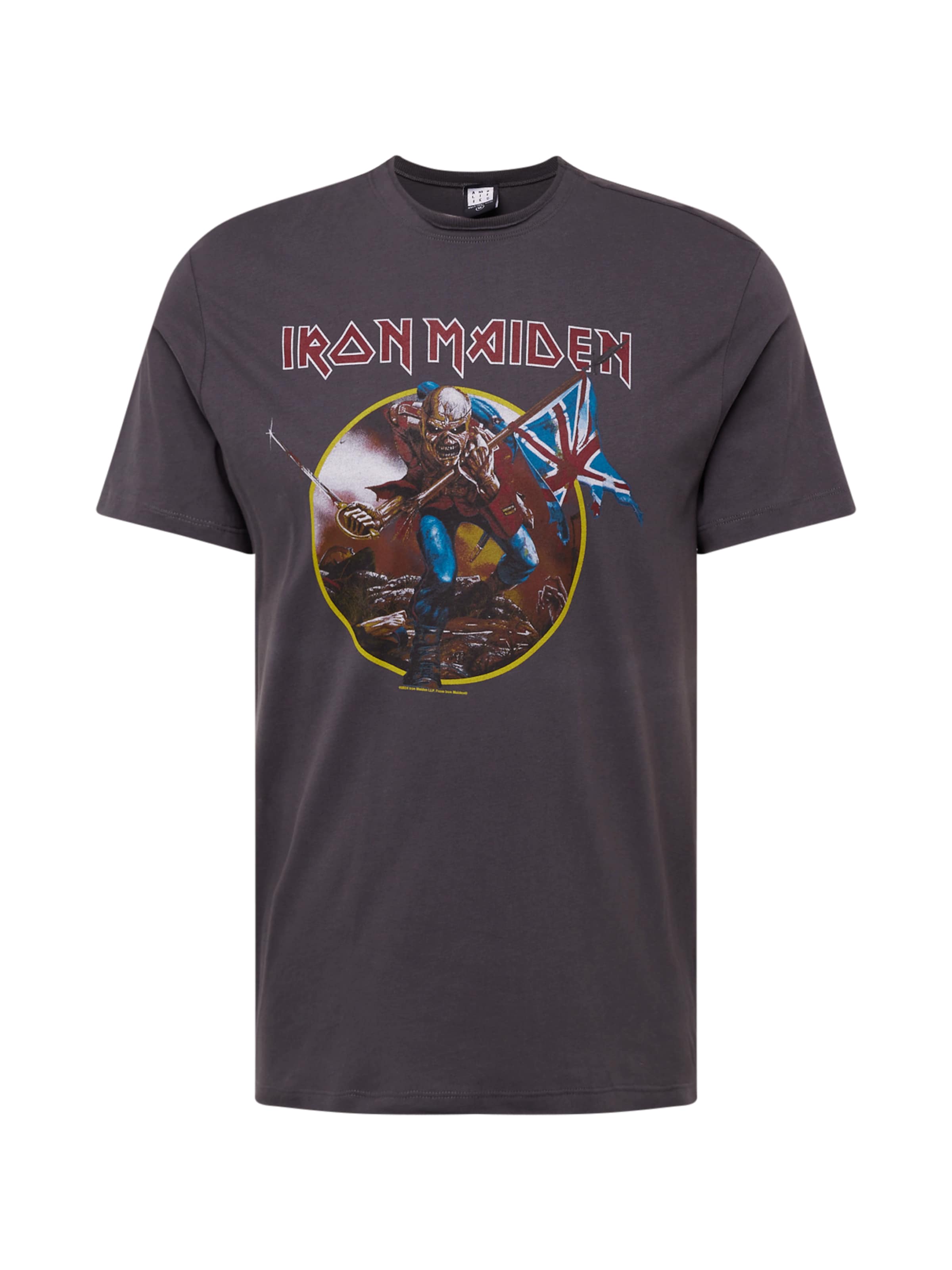 AMPLIFIED Футболка 'Iron Maiden Trooper' в Серый: спереди