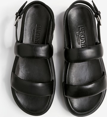 LLOYD Sandals in Black