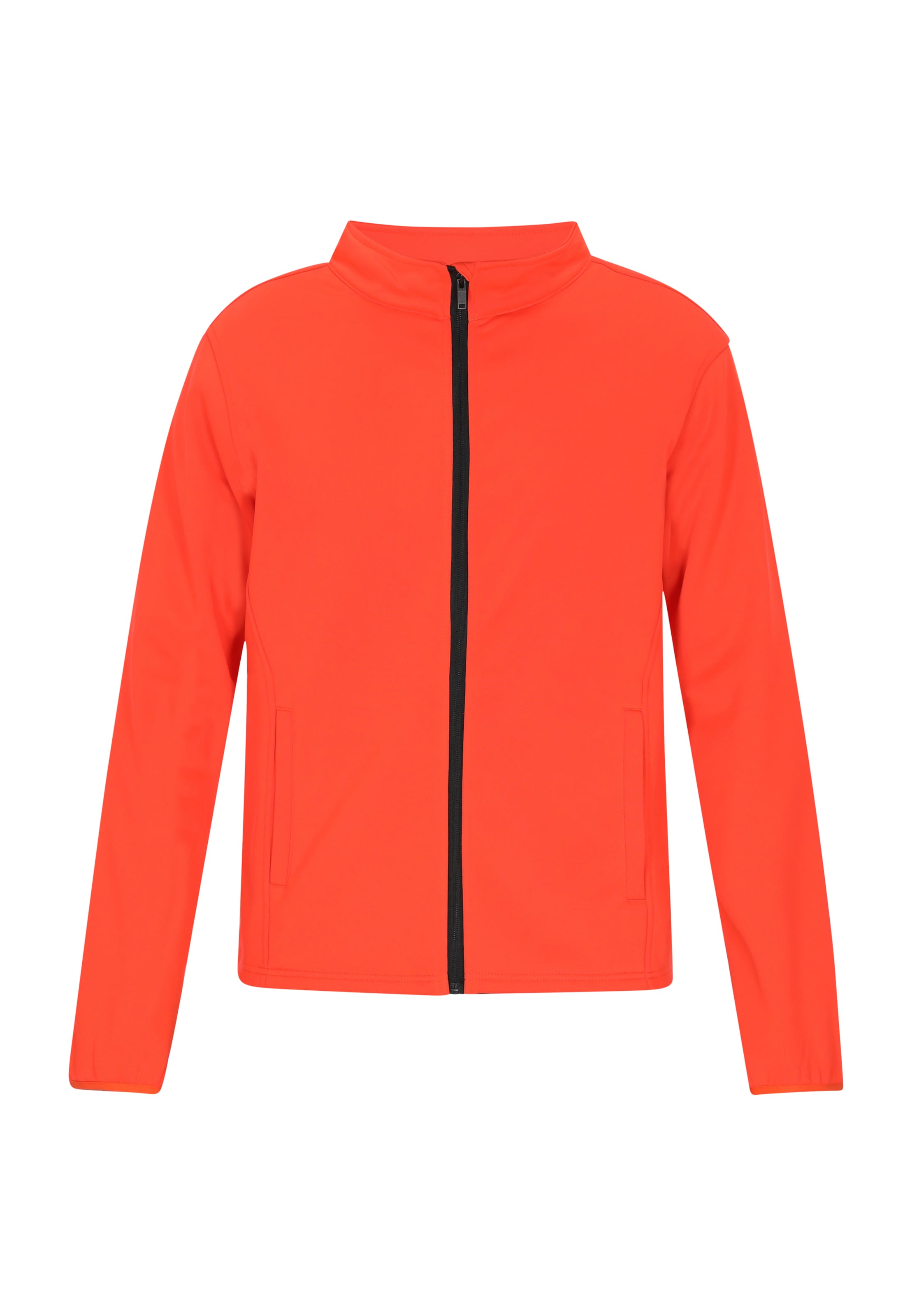 BRAELYN Sweat jacket in Orange: front