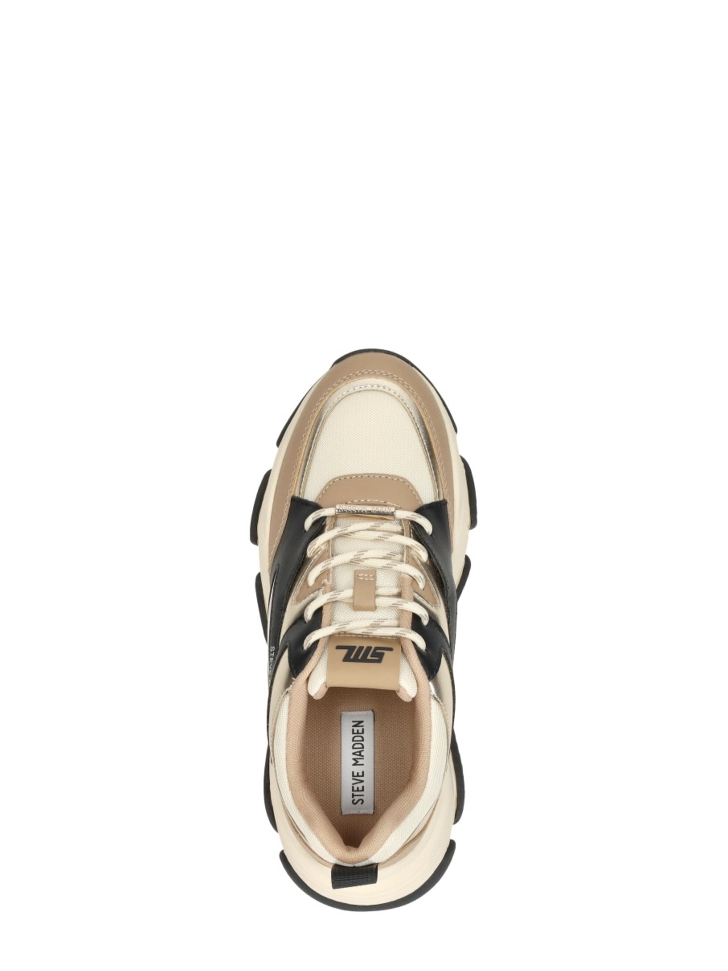 Baskets basses 'Progressive' STEVE MADDEN en vert