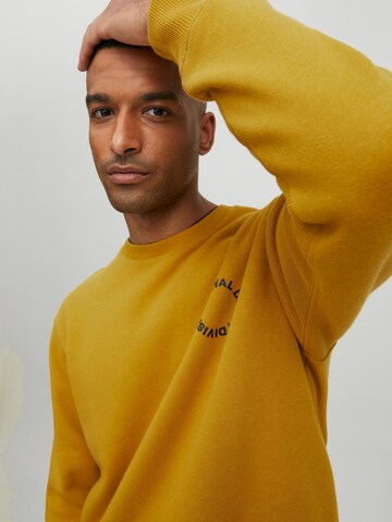 R.D.D. ROYAL DENIM DIVISION Sweatshirt 'Carl' in Oranje
