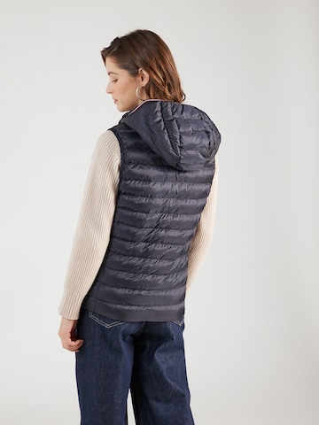 Gilet TOMMY HILFIGER en bleu