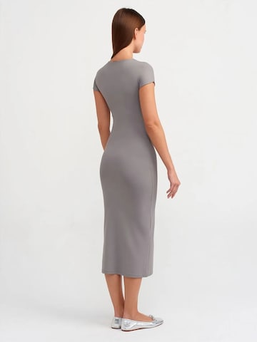 Dilvin Dress in Grey
