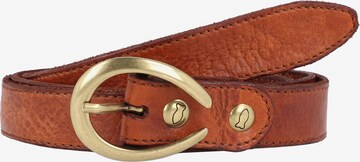 Ceinture Campomaggi en marron : devant