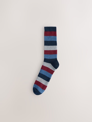 Next Socks in Mixed colours
