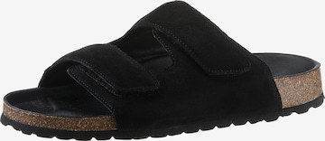 VERBENAS Mules in Black: front