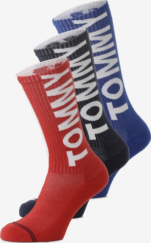 TOMMY HILFIGER Socks in Blue: front