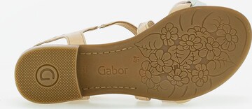 GABOR Sandals in Beige