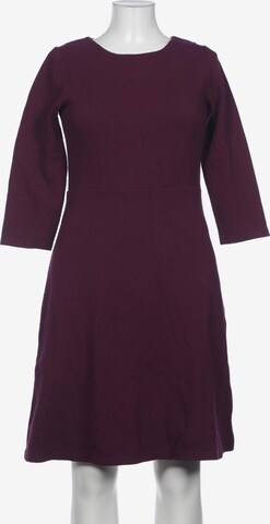 Joules Dress in XL in Purple: front