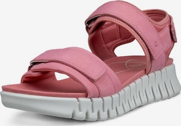 Sandalo di ECCO in rosa: frontale