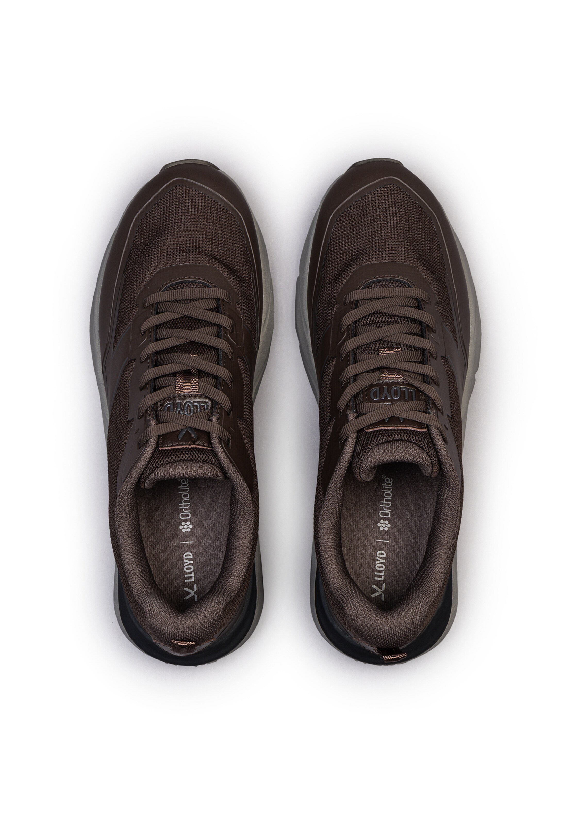 LLOYD High-Top Sneakers in Brown