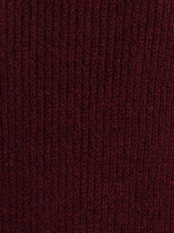 Dilvin Pullover in Rot