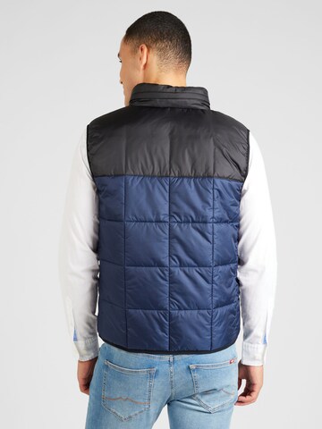 Gilet LACOSTE en bleu