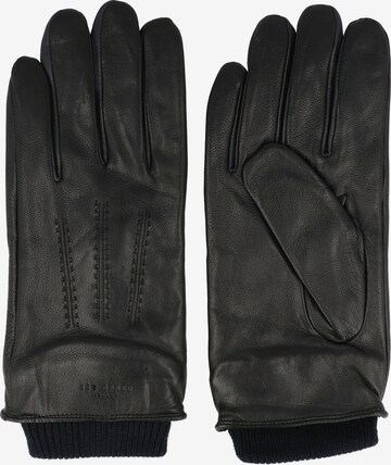 Ted Baker Full Finger Gloves in Black: front
