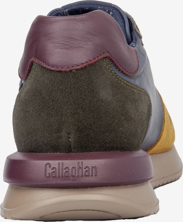 Callaghan Sneakers laag in Gemengde kleuren