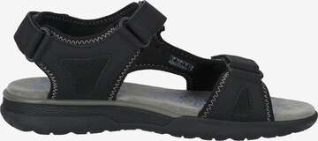 GEOX Hiking Sandals 'Spherica' in Black