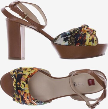 Högl Sandals & High-Heeled Sandals in 39,5 in Brown: front