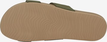 Claquettes / Tongs 'Cushion Bounce Vista Studs' REEF en vert