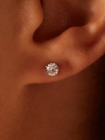 Lucardi Earrings in Silver