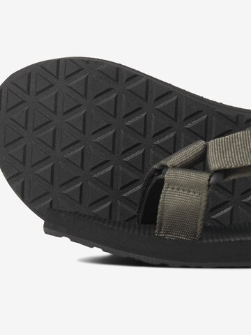 JACK & JONES - Sandalias 'TATE' en verde