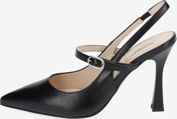 Nero Giardini Pumps in Schwarz