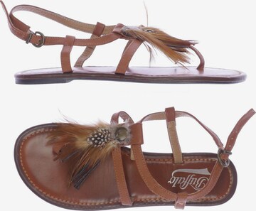 Buffalo London Sandalen 38 in Braun: predná strana