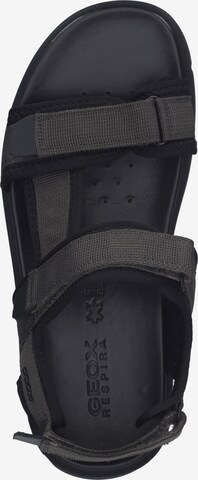 GEOX Hiking Sandals 'Xand 2S' in Grey